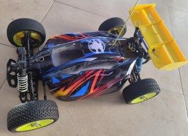 1 BUGGY